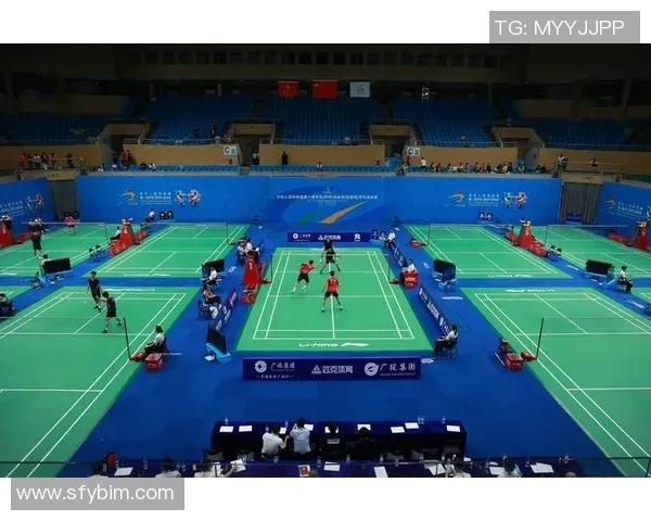 西安羽毛球队全运会技术表现分析与未来发展展望